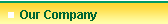 Our Company