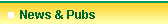 News & Publications